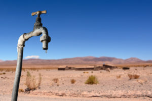 What the Desert Can Teach Us About Saving Water