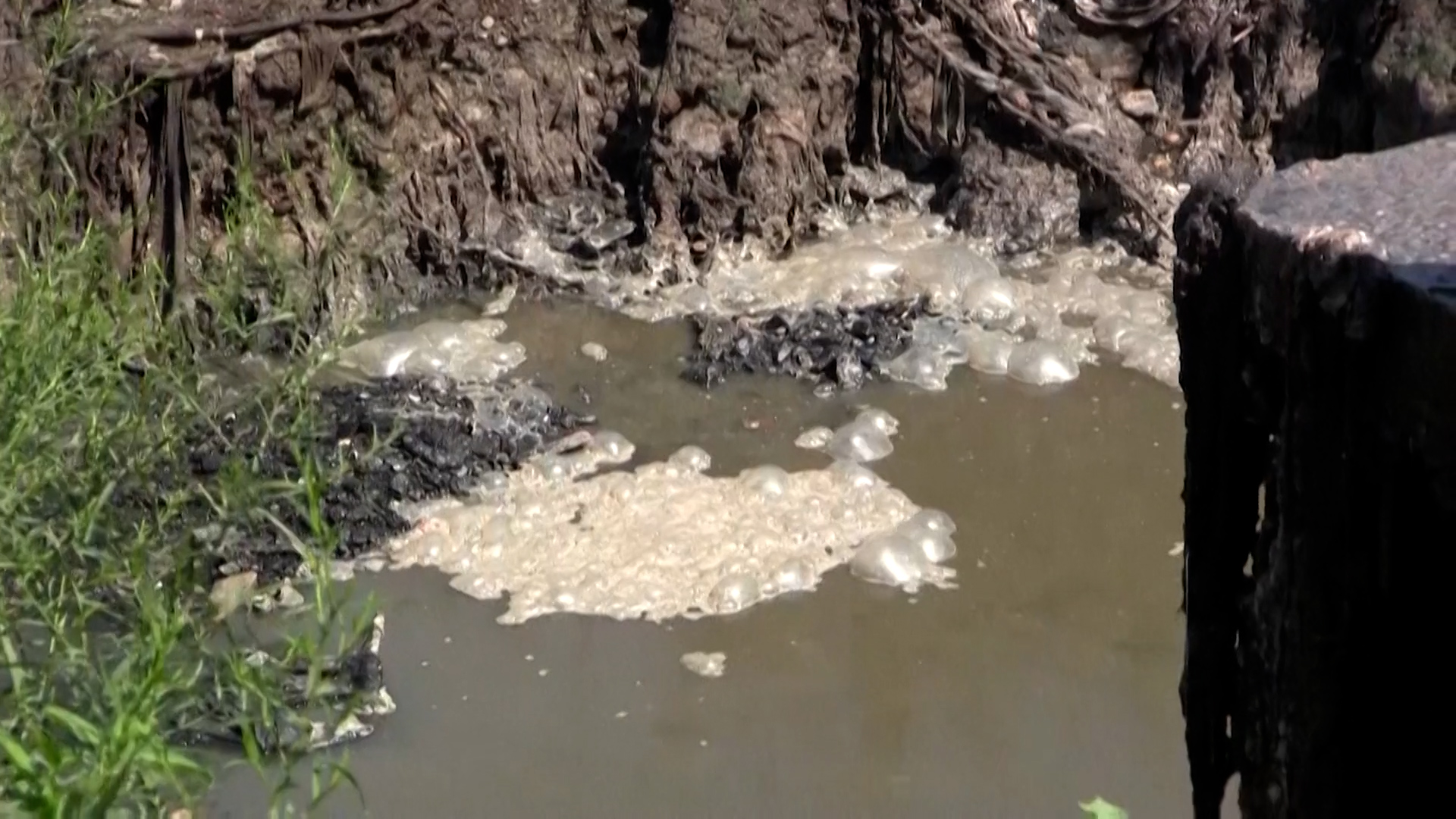Катастрофа на Дунае, поскольку река продолжает загрязняться - CGTN