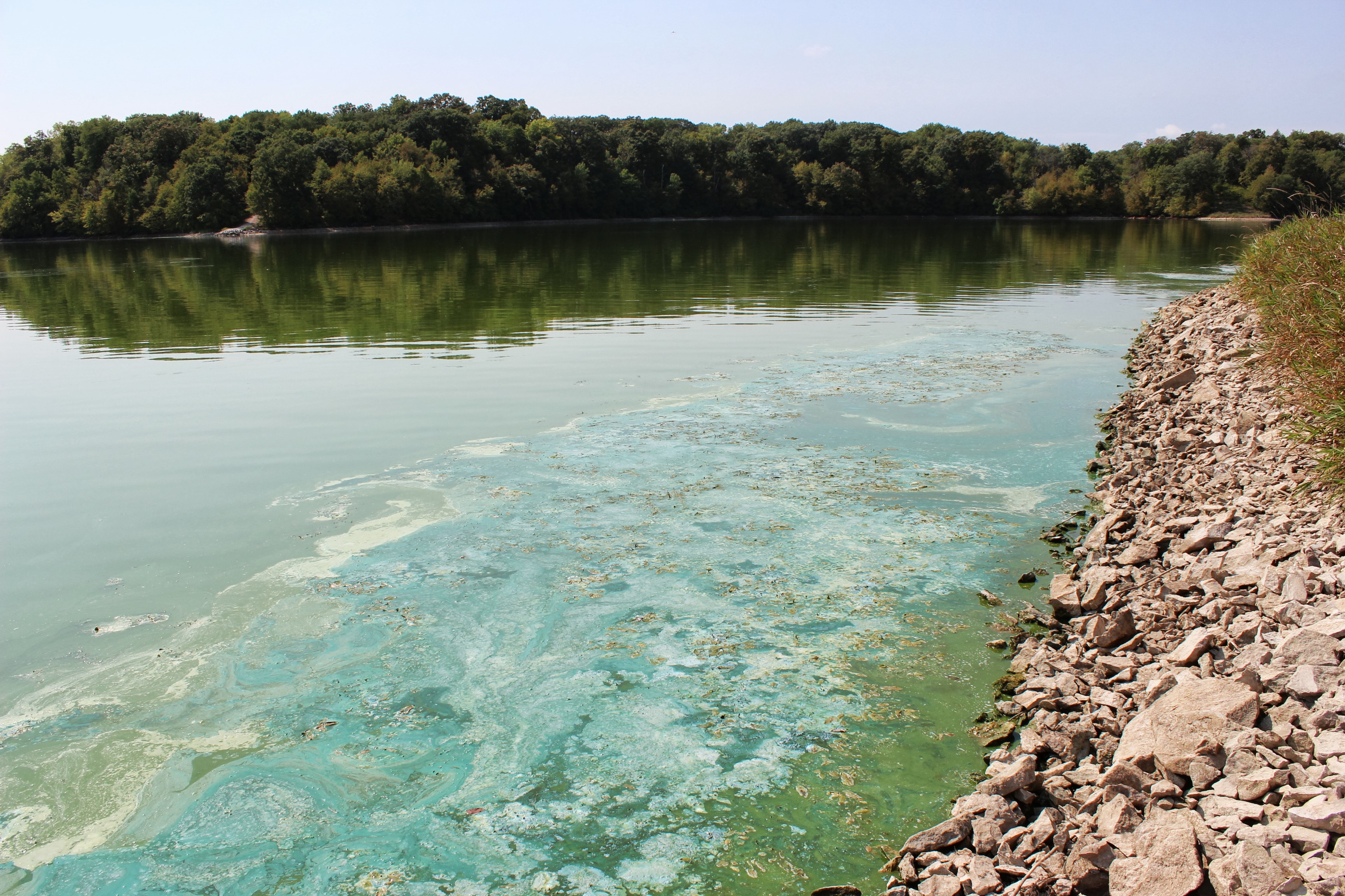Действия EPA по решению суда в связи с загрязнением реки Миссисипи |  СВС