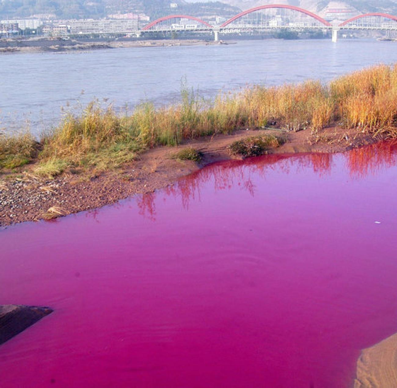 Загрязнение окружающей среды: заболеваемость раком в Китае стремительно растет - WELT