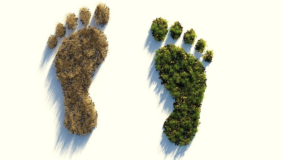 Ecological Footprint, Climate Protection