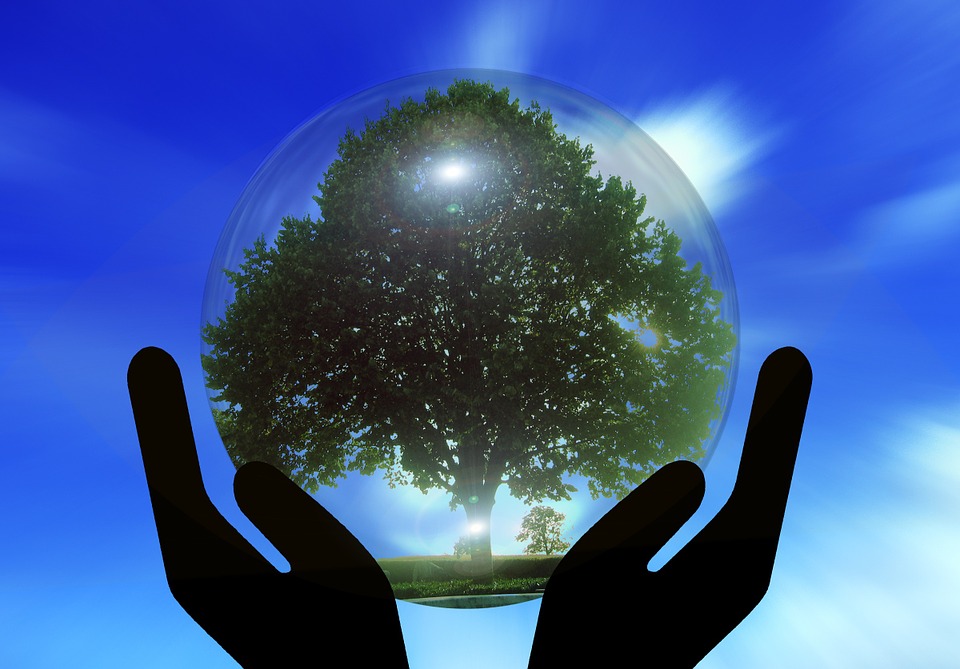 Hands, Protection, To Protect, Tree, Globe, Earth