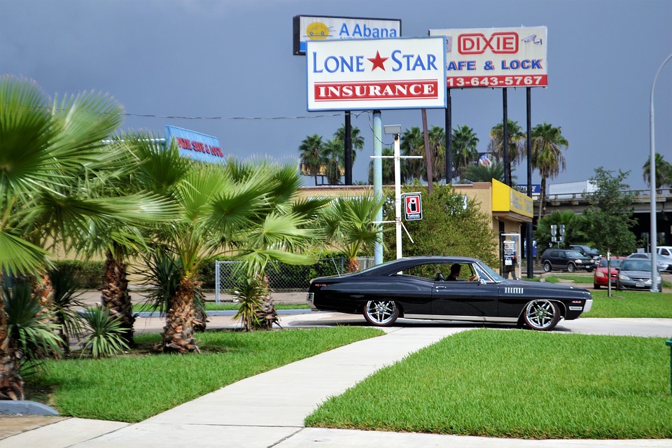 Classic Car And Palm Trees, Ford, Mustang, Black Duster