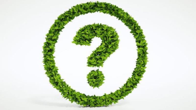 The never-ending sustainability questions banks must ask themselves