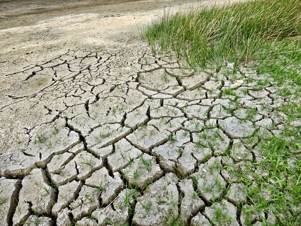 Climate Change, Drought, Climate, Dry, Environment