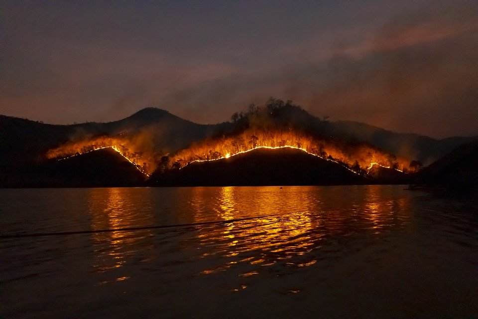 Wildfire, Bushfire, Fire, Forest, Emergency