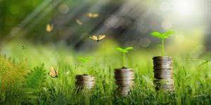 How Fintechs Could Be The Future of a New Green Economy