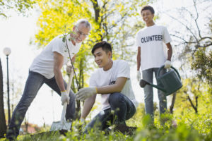 Volunteer,Wanted.,Merry,Three,Volunteers,Planting,Tree,And,Smiling